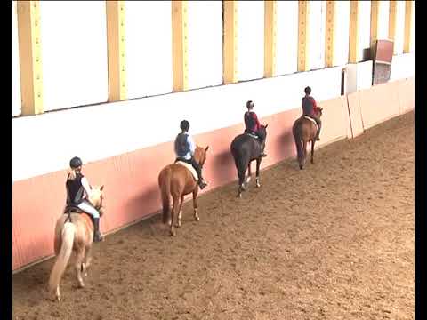 REITEN und ZUCHT-Video: Reitlehre - Kommandos für die ganze Abteilung