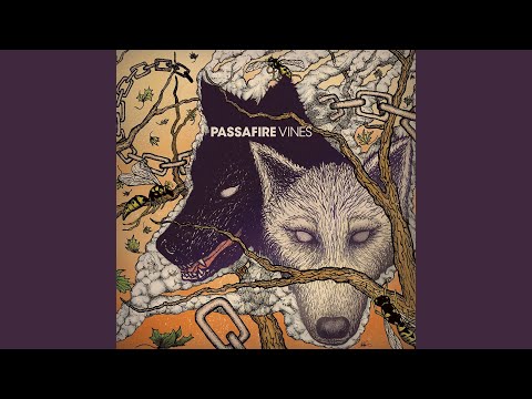 Black Dog - Passafire