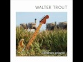 Walter%20Trout%20-%20Song%20For%20My%20Guitar