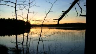Christoph Heemann & Andreas Martin - ... und schritt rücklings ins Wasser, der Aussicht wegen