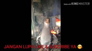 Download lagu Sara Burung Peruk Jantan 100% Jitu Untuk Pikat mp3 Download lagu Sara Burung Peruk Jantan 100% Jitu Untuk Pikat mp3