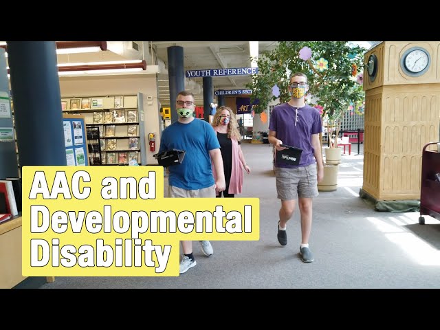 Lingraphica product / service