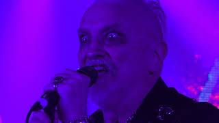 ZAL CLEMINSON&#39;S /SIN&#39;DOGS/ - Isobel Goudie - Warehouse 23