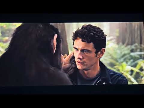 Rise of the planet of the apes Caesar said Caesar is home