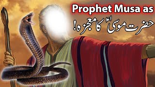 Hazrat Musa as Ka Mojza  Prophet Moosa Firon Waqia