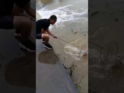 action to fish💯💥🤪 #move #reels #brc #act 😃 #reels #fish #fishing #bass #remix #beats