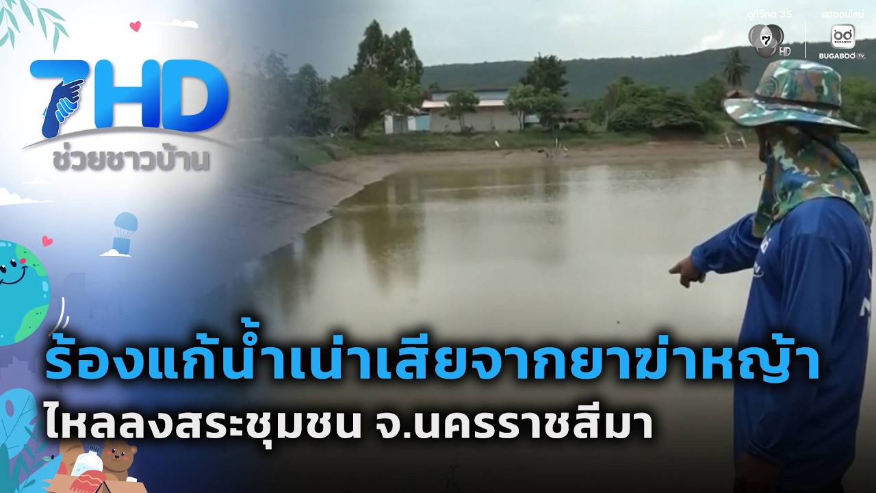 ร้องแก้น้ำเน่าเสีย จากยาฆ่าหญ้าไหลลงสระชุมชน | 7 ส?