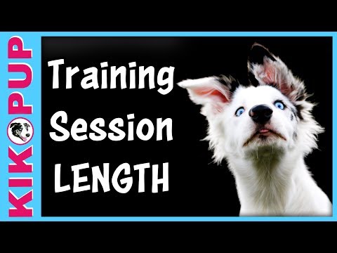 What is Clicker Training