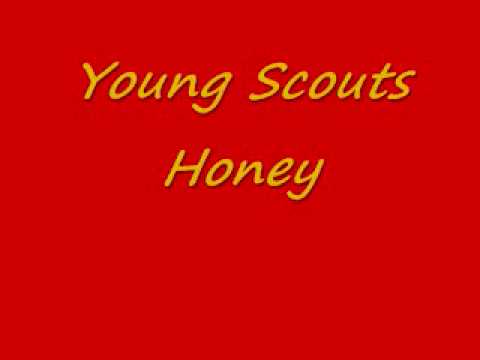 Young Scouts-Honey