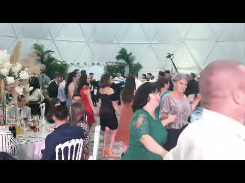 Trupa Amatis ❌  program sarbe❌ nunta 2022