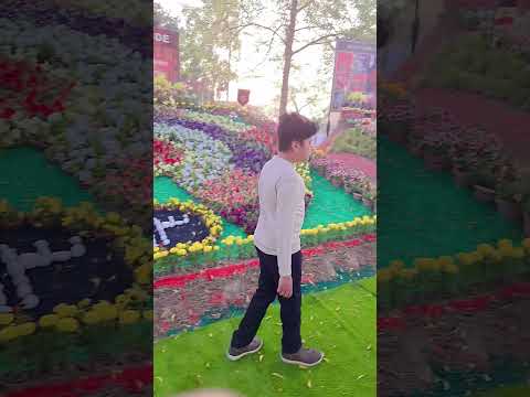 #flowershow2025 #birdsounds #morning