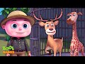 Missing Zoo Animals Episode Cartoon Animation For Children Videogyan Kids Shows Zool Babies