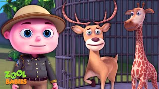 Download lagu Episode Hewan Kebun Binatang yang Hilang | Animasi Kartun untuk Anak-anak | Acara Anak-anak Videogyan | Zool Babies mp3 Download lagu Episode Hewan Kebun Binatang yang Hilang | Animasi Kartun untuk Anak-anak | Acara Anak-anak Videogyan | Zool Babies mp3