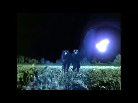 Trailer-Vorschau: PSI Factor - Es geschieht jeden Tag