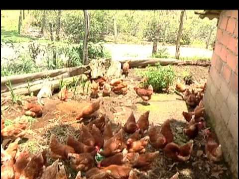 Resumen de noticias del viernes 9 de octubre de 2015 [Noticias] - TeleMedellin