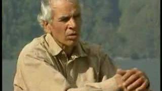 Buying-up Eden - Chile