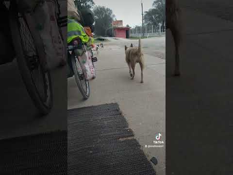 #viajandoenbiciplayera #juanjorba #sanluis #crudosatori #shorts