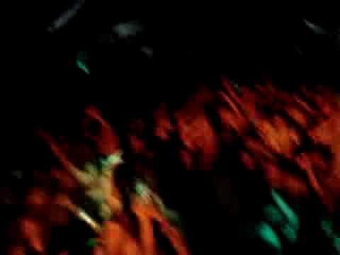 STEREOTYP MEETS AL-HACA IN BUDAPEST