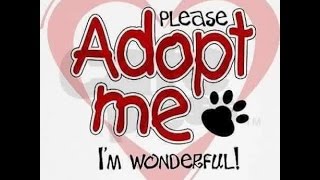 TNT-Pflegestelle Saarland