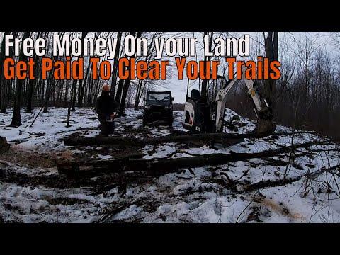 Clearing The West Trail On Our Property  Day One