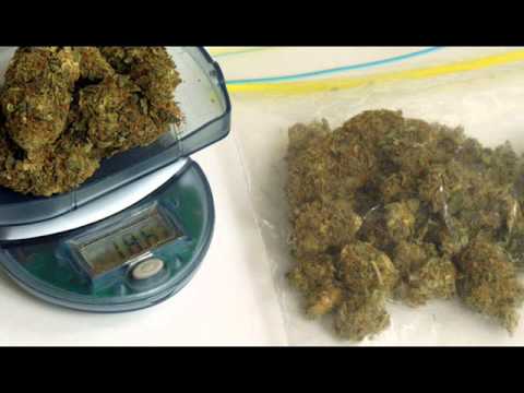 Nastukani Rymami- Krótki Kawałek O Gibonach