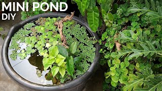 Simple DIY mini pond anyone can build || Walstad style mini pond with floating plants and fish