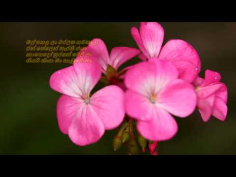 Mal Nelala Waralasa Gawasala - මල් නෙළ ලා වරලස ගවසාලා