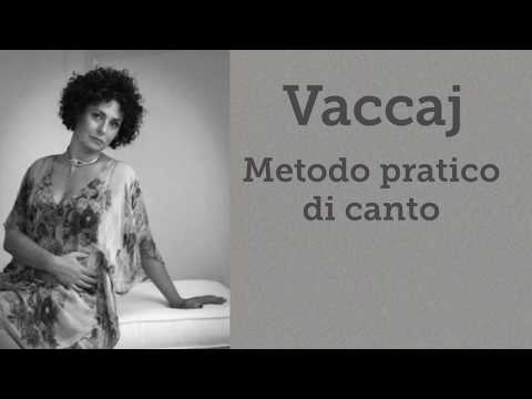 Vaccaj - Benchè di senso privo - High Voice - pronunciation -발음 -発音-Lyrics