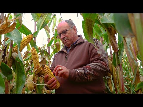 Tărâmul Fermierilor de Mâine - Nicolae Zamfir, fermier din Letea Veche, județul Bacău