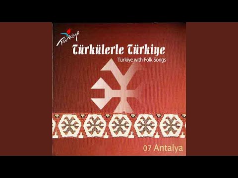 Bir Kilo Kestaneyi Aldım Elliye