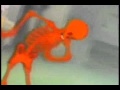 Red Skeleton Swaggas For 70 Seconds While I Play Extremely Fitting Music