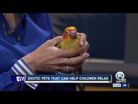 Exotic pets can help children with autism