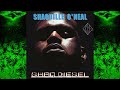 Shaquille O-Neal - No Hook ft. Prince Rakeem The RZA, Method Man