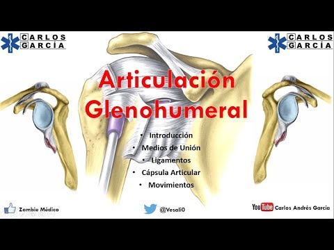 Un conjunto de ejercicios para el tratamiento de la protrusión de la columna lumbar Extracción endoscópica de la cirugía de hernia de disco