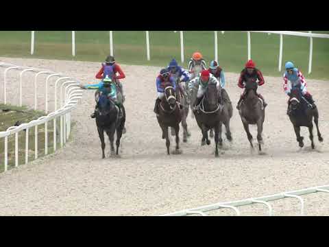 2020.08.16. 06. futam - TABU HENDIKEP (III.o.) (szintetikus pálya)