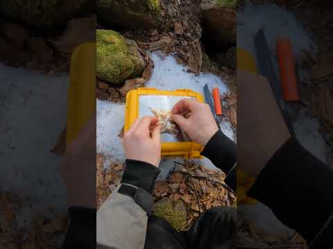 Procamptek Fast Fire Stick and Fire Plugs