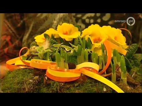 GLD Nieuws 27 maart 2013 - Nieuws