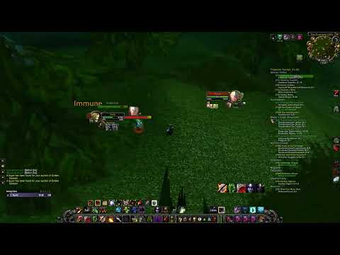 "he isn't a bot..." - World PvP Affliction SL Warlock vs Retribution Paladin | WoW TBC, WotLK, Wrath
