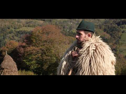 Ioana Ciorea - Frunză verde stejărel // NOU 2020 // 4K