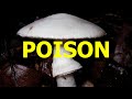 Deadly Poisons And How They Kill