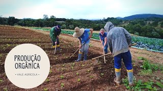 Miniatura do vídeo