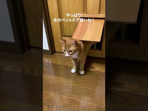 【ペットと心地よく暮らす】職人手作りの木製ペットドア