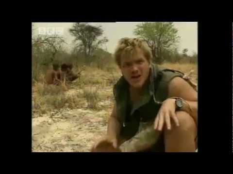 Bear Grylls vs Ray Mears