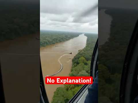 Animal Moments We Still Can’t Explain