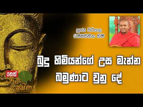 Darma Dakshina 2019.11.13 - Pitigala Dammawinitha Himi