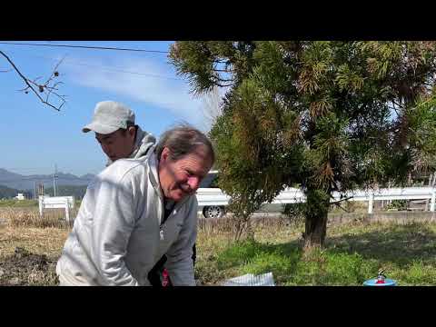 Die letzten Handgriffe