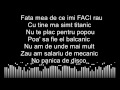 Delia & Macanache - Ramai cu bine (karaoke)