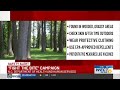 North Carolina launches ‘Fight the Bite’ campaign as tick, mosquito season begins