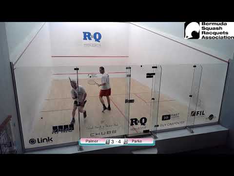 David Palmer Vs Simon Parke