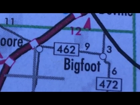 TDW 1676 - Bigfoot Really Does Exist !